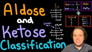 Carbohydrate Basics Classifying Aldoses and Ketoses for Beginners [upl. by Carver]