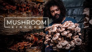 Cultivating Gourmet and Medicinal Mushrooms  PARAGRAPHIC [upl. by Lillian]