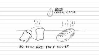 White Bread Vs Whole Wheat Grain Whats healthier Whats the difference [upl. by Hippel]