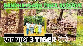 Bandhavgarh Tiger Reserve mptourism bandhavgarhnationalpark bandhavgarh bandhavgarhtigerreserve [upl. by Annadal]