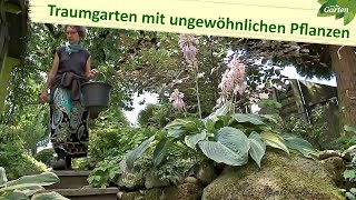 Ein Traumgarten voller ungewöhnlicher Pflanzen  MDR Garten [upl. by Ardnovahs528]