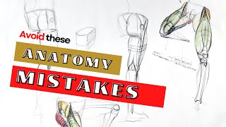 5 MISTAKES you make when studying anatomy for artists [upl. by Sebastian926]