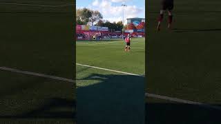 Tamworth Tonks throw in [upl. by Eyt]