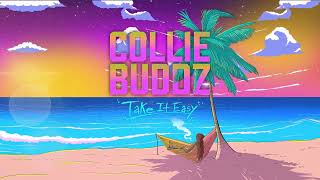 Collie Buddz  Take It Easy Full Album [upl. by Lesya]