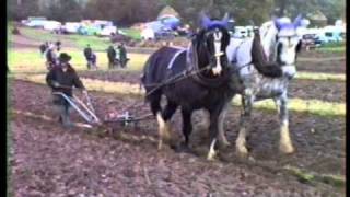 Weald amp Downland Plough Heavy Horse 1994 [upl. by Ailaro839]