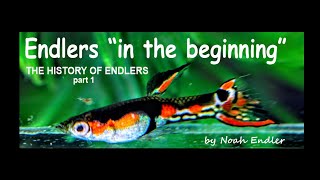 THE HISTORY OF ENDLERS Part one quotin the beginningquot [upl. by Einned479]