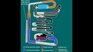 Absorption coolingheating principle animation [upl. by Onilatac]