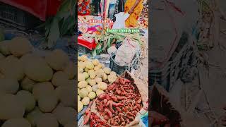 Happy chhath puja Okhla Mandi video happy chhath puja love music [upl. by Almena578]