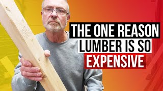 Why Is Lumber SO EXPENSIVE  Lumber Prices 2021 Have Skyrocketed And Here Is The Reason WHY [upl. by Anayik]