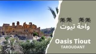 Oasis Tiout [upl. by Nayab]