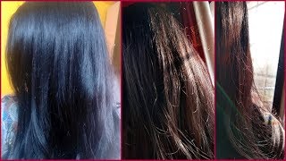 Henna hair dye to get deep brown to chocolate brown hair color  Cover grey hair [upl. by Enelrac324]