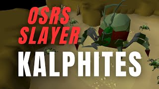 OSRS Slayer  KALPHITES  Get the FASTEST easy slayer XP in game [upl. by Anahsat522]