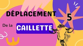 Déplacement de la Caillette 5 suite [upl. by Ardnauqal]