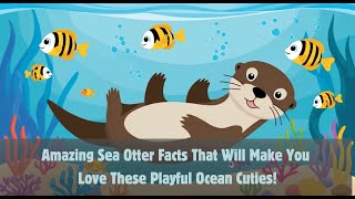 Why Do Sea Otters Use Rocks Discover 10 Fun Facts [upl. by Annaeiluj]