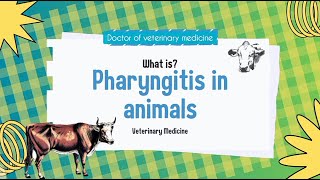 Pharyngitis in animals  DVM [upl. by Tressa221]