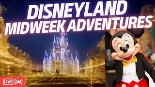 Disneyland LIVE rides attractions characters  IRL Stream [upl. by Ranice850]