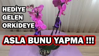 Orkide Çiçeği Bakımı Nasıl Yapılır [upl. by Llaccm752]