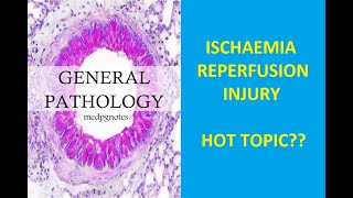 GENERAL PATHOLOGY II CHAPTER 2 II CELL INJURY II ISCHAEMIC REPERFUSION INJURY II ROBBINS PATHOLOGY [upl. by Yenffit]