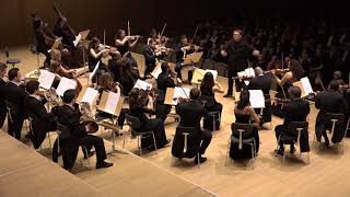 Haydn  Symphony No 44  Allegro con brio Cameristi della Scala Wilson Hermanto [upl. by Eibloc]