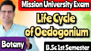 Life Cycle of Oedogonium bedkdian bsc1stsemester mjpru botany [upl. by Sucramal]