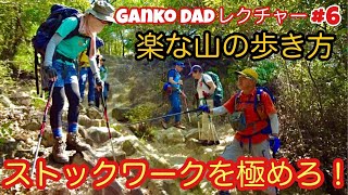 登山の良き相棒「ダブルストック・トレッキングポール」を登山・キャンプ用品専門店営業30年のGankoDadが解説させていただきます ストックワークを極めて安全快適登山を楽しんでください [upl. by Ailbert]