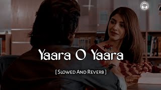 Yaara O Yaara Milna Hamara  Slowed And Reverb  Sunny Deol  90s Bollywood Song [upl. by Ronica]