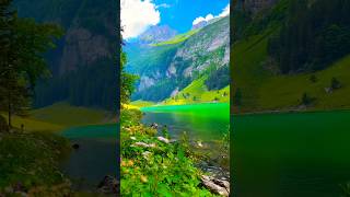 seealpsee Switzerland🌴☔ travel shorts tiktokseealpseeexploreadventure4kviralswitzerland [upl. by Rocher235]