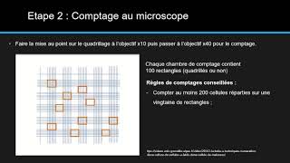 Numération cellulaire [upl. by Shanks]