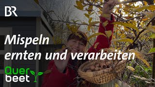 Adventskalender mit MispelPralinen  Tipps von Sabrina [upl. by Asiel]