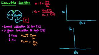 6 Uncompetitive Inhibition [upl. by Barmen]