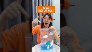 🌧 TẠI SAO TRỜI LẠI MƯA 🌧 Hy vọng video nhiều view như nhiều mưa vậy leeciehayhoi shorts [upl. by Asseret]