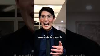 Taiwan prosecution system Whats next for legal reform ytshorts [upl. by Hnirt]