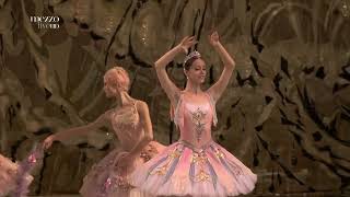 Nadezhda Batoeva Gulnare Variation Act 2 [upl. by Ayalat]