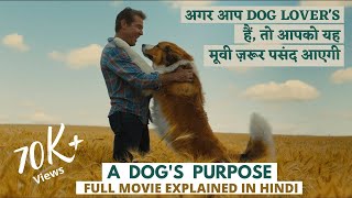 A Dogs Purpose Full Movie Explained In Hindi  Dog Lovers must watch this movie [upl. by Yretsym284]