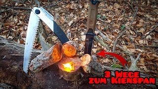 Fatwood finden und sammeln  3 Wege zu Kienspan  leichter Zunder sammeln  Bushcraft Österreich [upl. by Rakso]