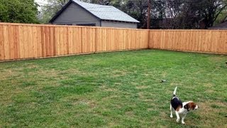 Our Adventure Building a Western Red Cedar Privacy Fence in Dallas TX [upl. by Ffej]