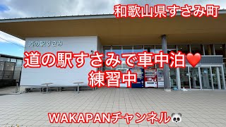 和歌山県すさみ町 道の駅すさみで車中泊❤️練習中🔰WAKAPANチャンネル🐼 [upl. by Au]