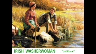 Irish Washerwoman  Instrumental  Played by Giorgio Zizzo [upl. by Anabelle514]