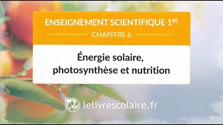 SVT  Collège  La Terre dans le Système Solaire [upl. by Ydur]