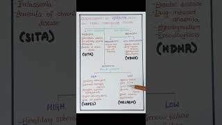 ANAEMIACLASSIFICATION WITH MNEMONICS anemia anemic tamil medmessenger mnemonics anaemia [upl. by Mahan]