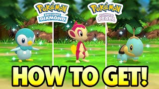 How to Get SHINY STARTERS in Pokemon Brilliant Diamond and Pokemon Shining Pearl [upl. by Flossy924]