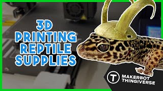 3D Printing Mini Hats amp Supplies For My Geckos [upl. by Noryb993]