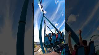 Mako at SeaWorld Orlando [upl. by Aydiv129]