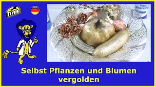 Selbst Pflanzen amp Blumen vergolden  versilbern  Galvanoplastik selbst gemacht [upl. by Lehcir]