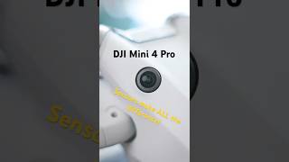 The DJI Mini 4 Pros Sensors are a GAME CHANGER ✈️👀 drone dji dronevideo [upl. by Farand]