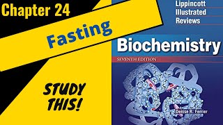 Lippincotts Biochemistry Review Chapter 24 The FeedFast Cycle  Study This [upl. by Aineval]