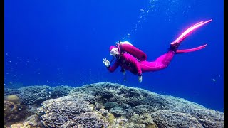 MANTA RESORT diving at Pemba Island Zanzibar by DIVING SPECIALS [upl. by Bauer878]