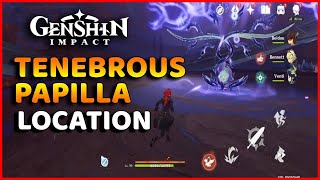 Tenebrous Papilla Location Genshin Impact [upl. by Khorma]