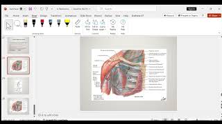 Pectoral region Gross Anatomy [upl. by Granville]