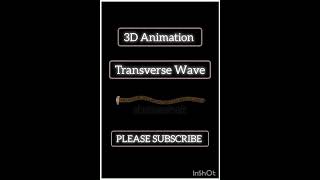 TRANSVERSE WAVE 3D ANIMATION VIDEO  NEETIITMBBSshortvideo [upl. by Samul]